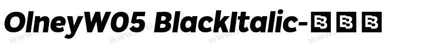 OlneyW05 BlackItalic字体转换